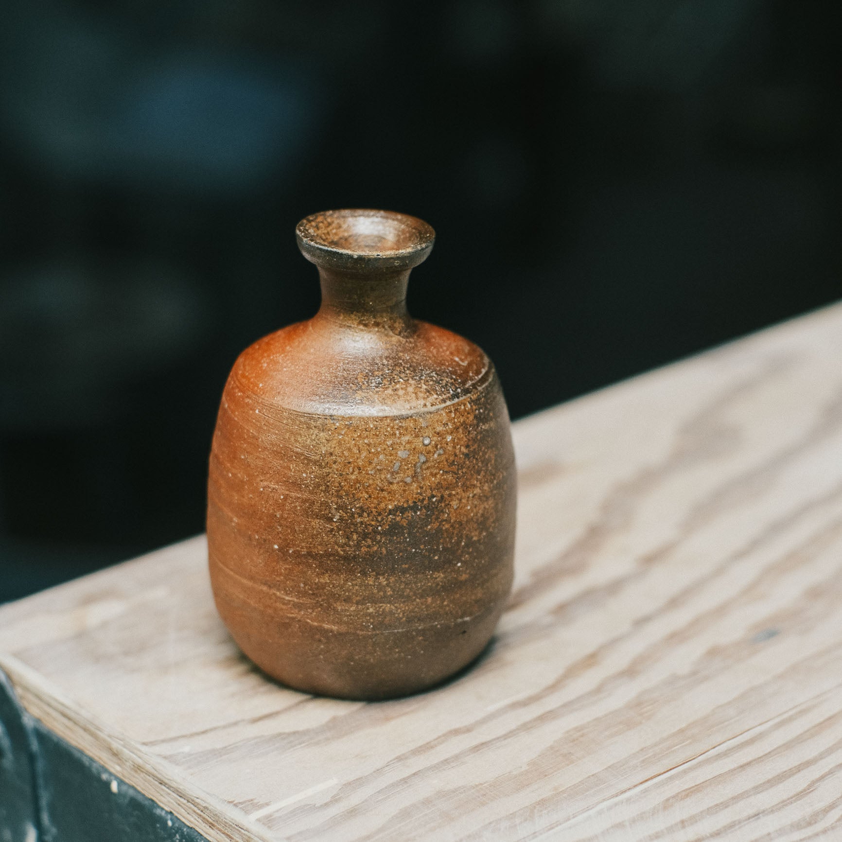 Tokkuri, Bizen Wood-Fired - Goma #2