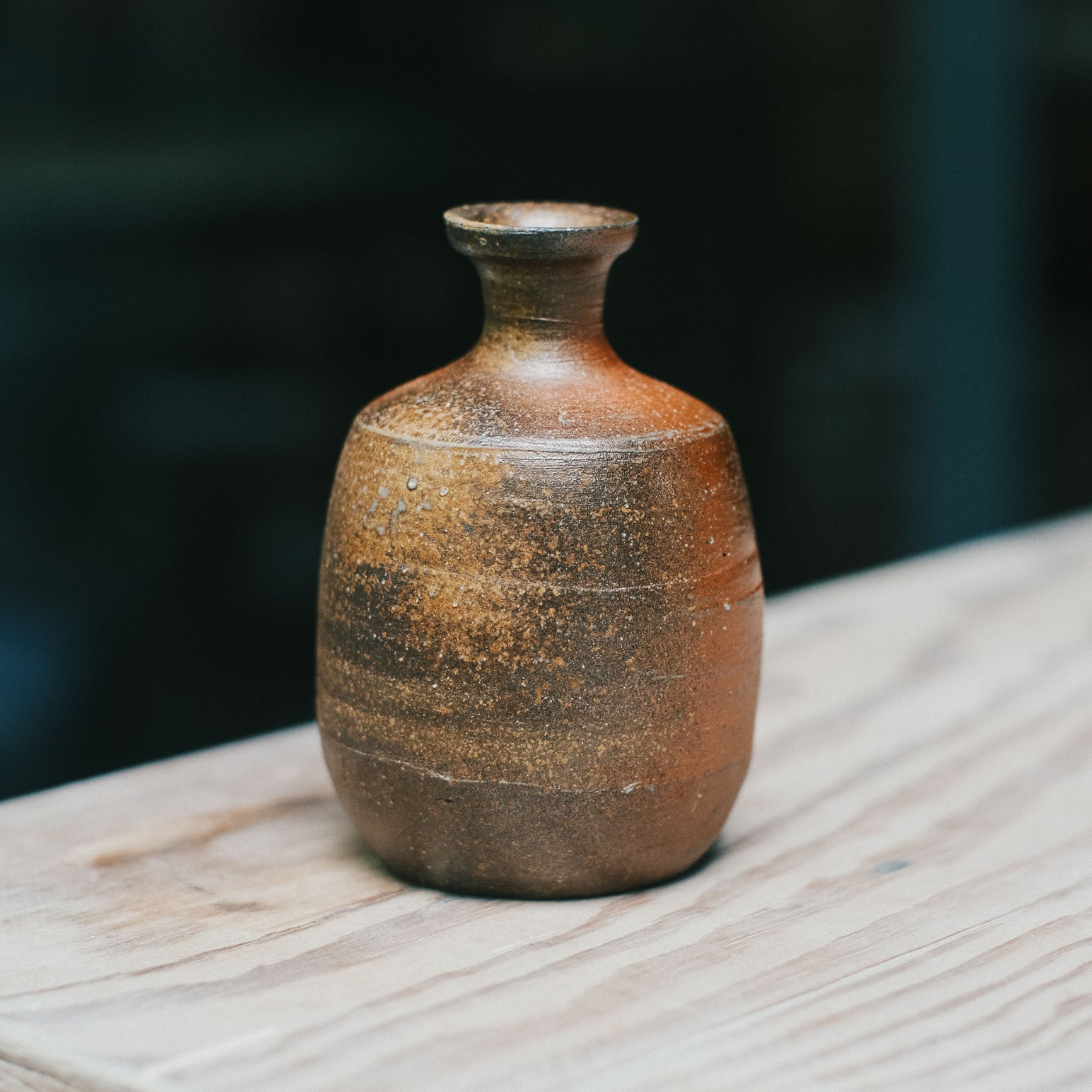 Tokkuri, Bizen Wood-Fired - Goma #2