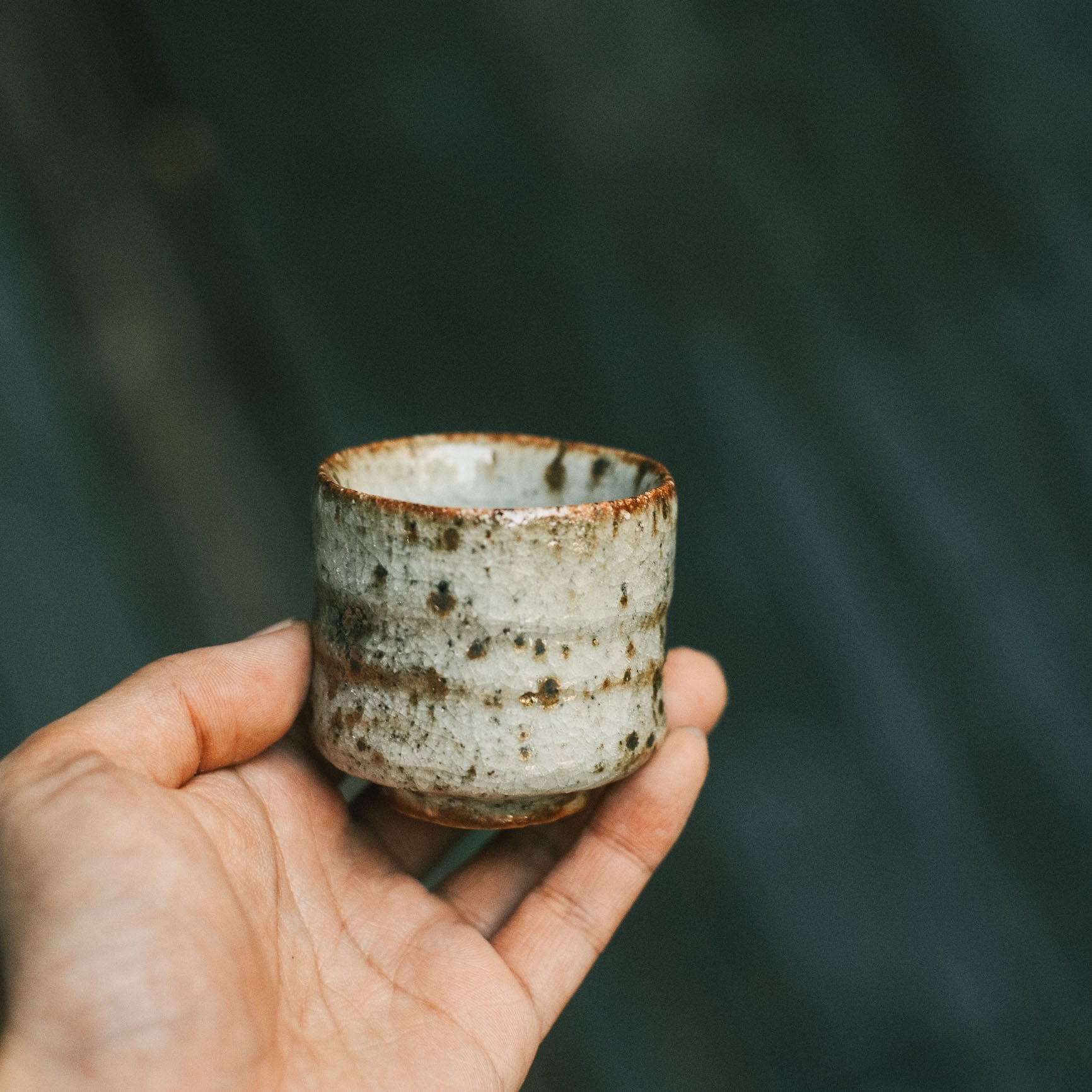 Guinomi, White Shino Glaze