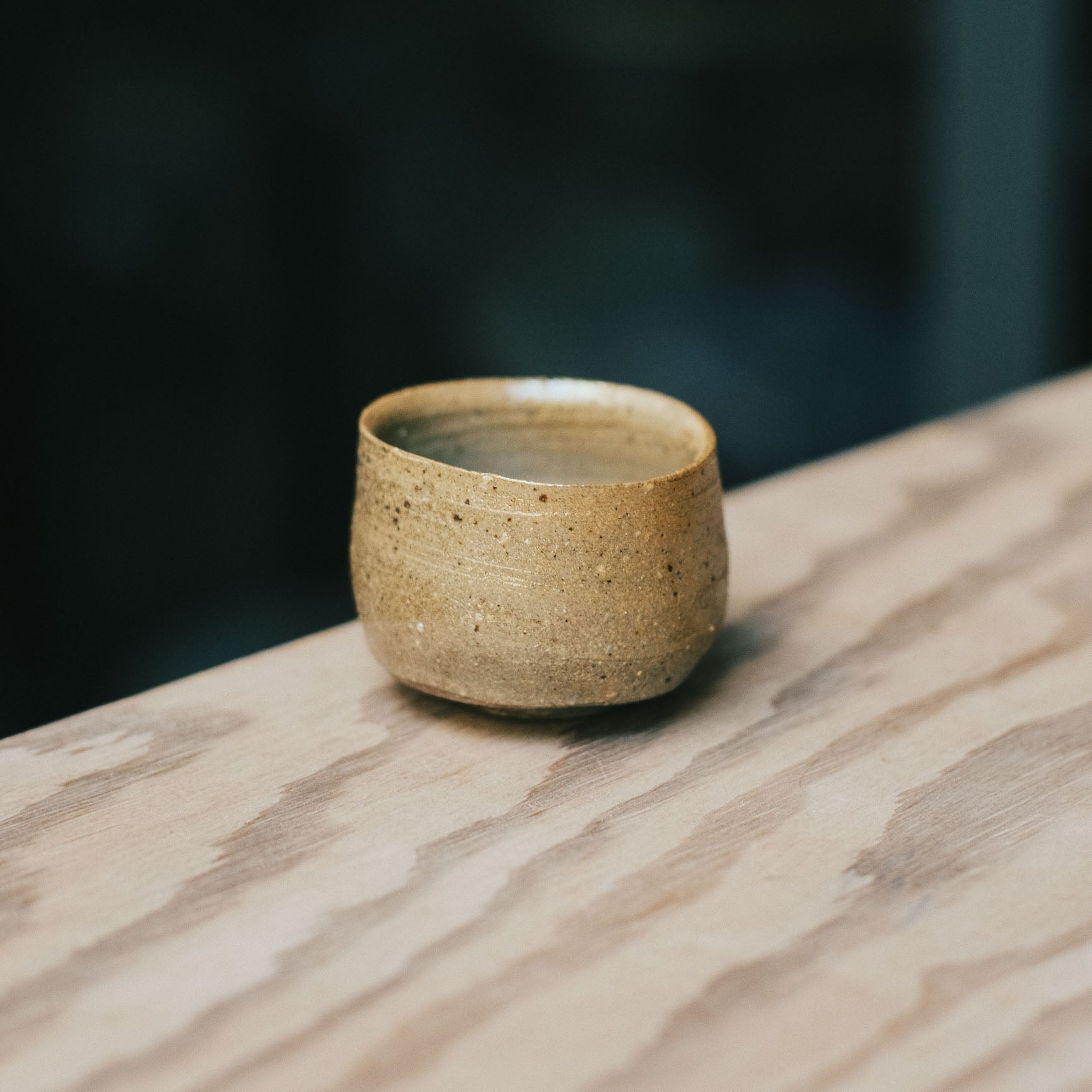 Guinomi, Bizen Wood-fired