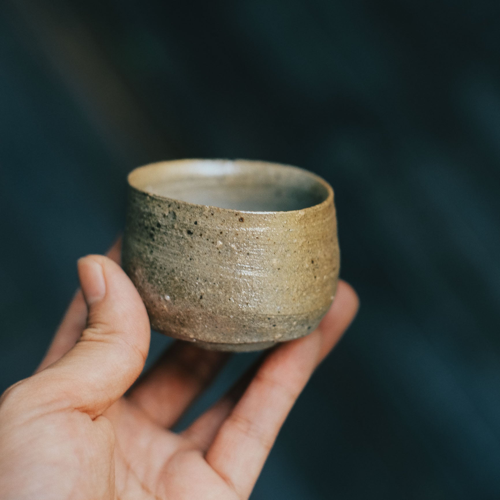 Guinomi, Bizen Wood-fired