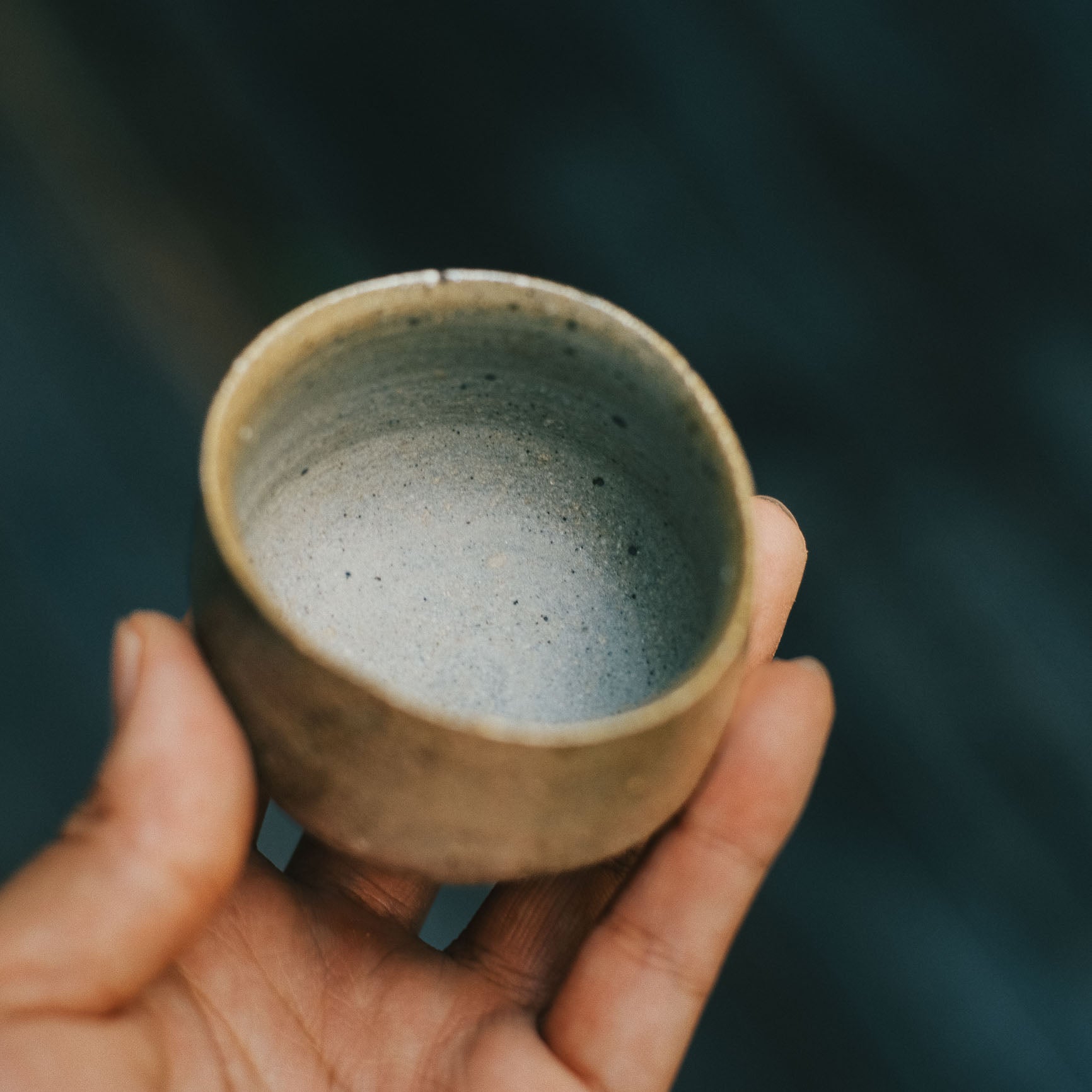Guinomi, Bizen Wood-fired