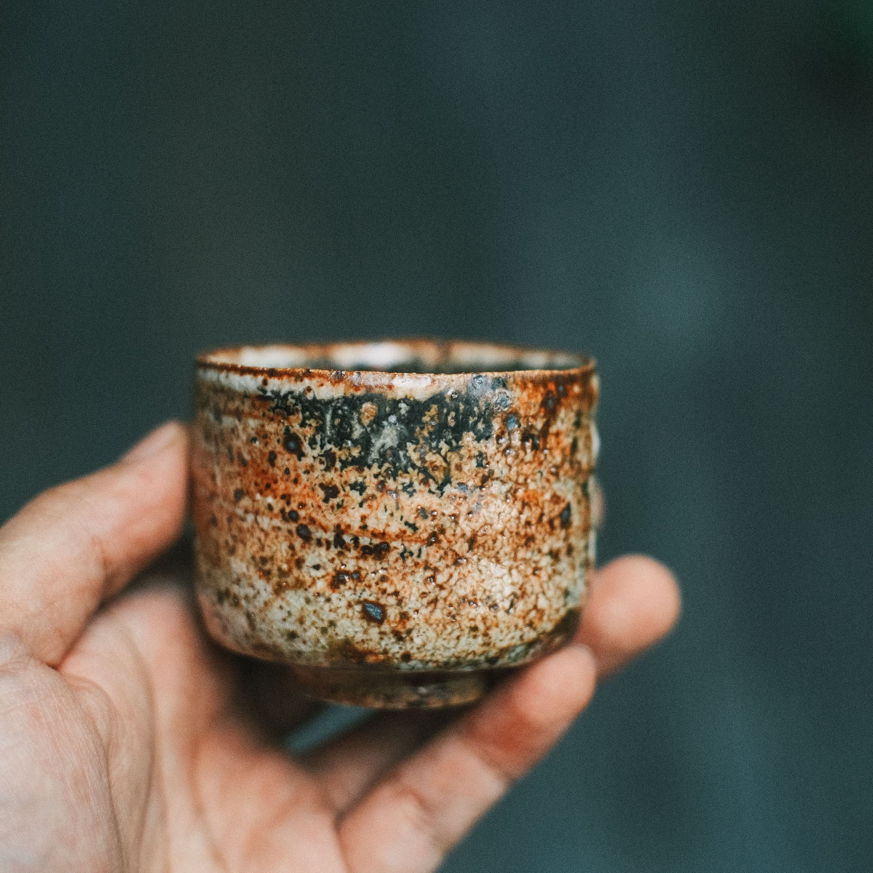 Guinomi, Shino Glaze w Ash