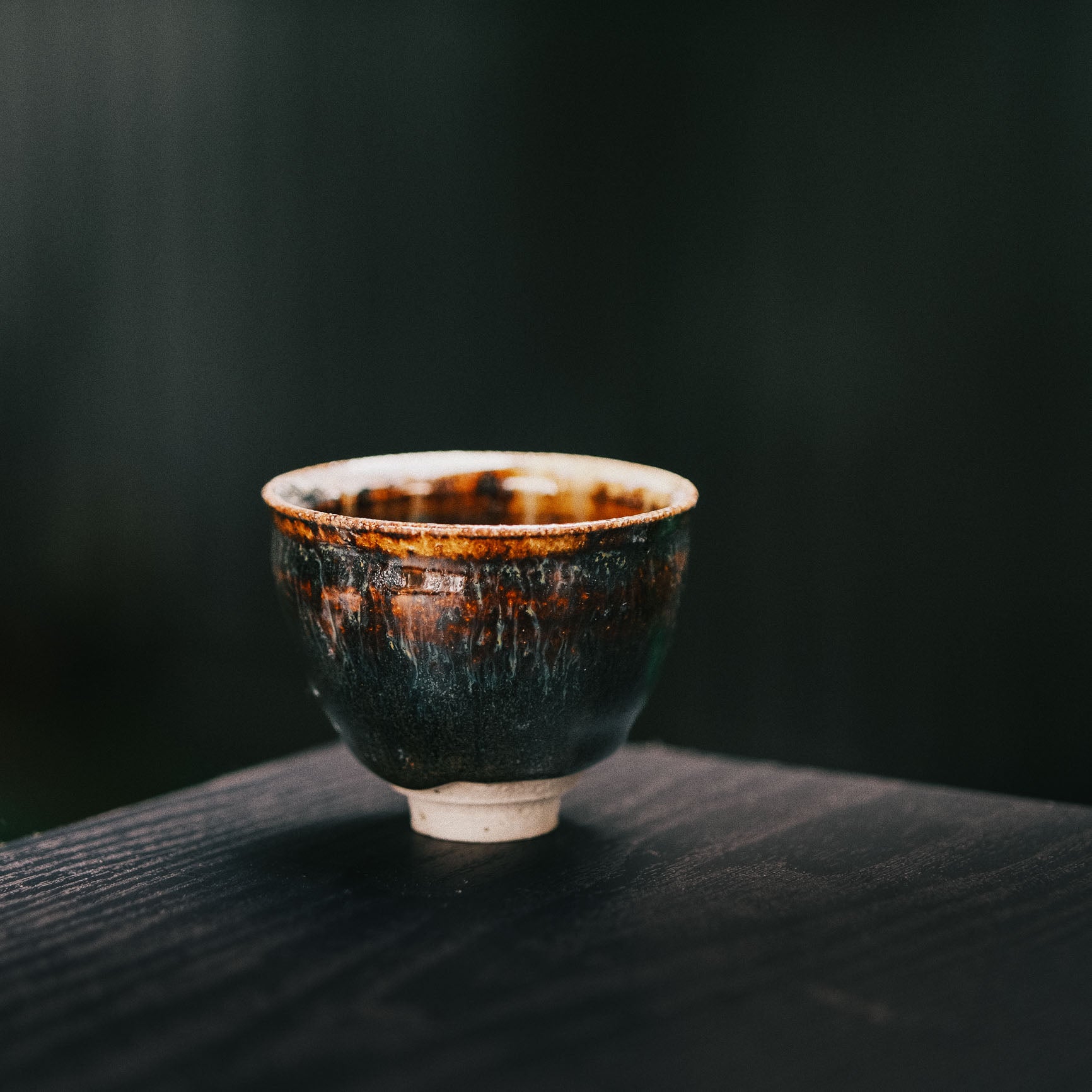 Sake/Tea Cup, Tenmoku/Ash Glaze #1